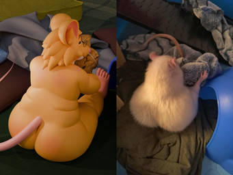 anthro bedroom_eyes big_butt butt cookie eating eyewear feet female food fur glasses looking_at_viewer narrowed_eyes orange_body orange_fur overweight overweight_anthro overweight_female photo_reference real rear_view seductive solo tail whiskers sesame_bun mammal murid murine rat rodent 4:3 absurd_res hi_res reference_image