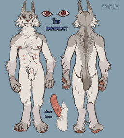 animal_genitalia animal_penis anthro balls butt erection feet fur genitals looking_at_viewer male multi_nipple nipples nude pawpads penile_spines penis sheath simple_background smile solo standing tail text toes anapnea tim_(anapnea) bobcat felid feline lynx mammal digital_media_(artwork) english_text model_sheet