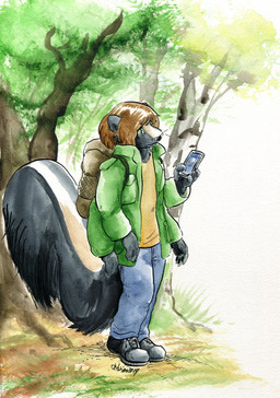 4_arms 4_fingers anthro backpack biped black_body black_ears black_fur black_nose bottomwear brown_hair clothed clothing denim denim_bottomwear denim_clothing detailed_background electronics fingers fluffy fluffy_tail footwear fully_clothed fur grass hair holding_object holding_phone jacket jeans long_tail male multi_arm multi_limb outside pants phone plant plantigrade shirt shoes solo standing tail topwear tree two_tone_tail white_tail cervelet mammal mephitid skunk striped_skunk 2019 absurd_res hi_res signature traditional_media_(artwork)