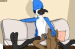 2015 2_toes 3_toes anthro avian avian_feet balls beak bird blue_body blue_feathers blue_jay blue_penis bodily_fluids brown_body brown_fur cartoon_network chest_tuft corvid drooling duo erection fangs feathers feet foot_fetish foot_play footjob foreskin freckles fur furniture genitals hand_on_head inside interspecies jay_(bird) kapitanwolfgang licking looking_at_viewer male male/male male_penetrated male_penetrating male_penetrating_male mammal mordecai_(regular_show) new_world_jay nude one_eye_closed open_mouth oral oral_footjob oscine passerine paws penetration penile penis penis_lick pillow procyonid raccoon regular_show rigby_(regular_show) saliva sex smile sofa spread_legs spreading tail tail_feathers teeth toes tongue tongue_out tuft two-footed_footjob vein white_body white_feathers wink