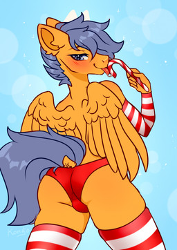 anthro anthrofied armwear blue_background blue_eyes blue_hair blue_tail blush bodily_fluids bulge bulge_from_behind butt clothing feathered_wings feathers fur hair holding_candy_cane legwear licking_candy_cane looking_back male orange_body orange_fur panties pattern_armwear pattern_clothing pattern_legwear pattern_stockings rear_view red_clothing red_panties red_underwear saliva saliva_string simple_background solo standing stockings striped_armwear striped_clothing striped_legwear striped_stockings stripes tail thick_thighs tongue tongue_out underwear wings konejo hasbro my_little_pony mythology fan_character equid equine mammal mythological_creature mythological_equine pegasus 2024 colored digital_drawing_(artwork) digital_media_(artwork) hi_res