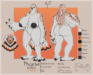 anthro beak big_breasts black_beak black_markings black_nipples breasts feathers female female_anthro front_view genitals huge_breasts humanoid_genitalia humanoid_vulva markings mouth_closed navel nipples non-mammal_breasts non-mammal_navel non-mammal_nipples nude orange_eyes orange_markings overweight overweight_anthro overweight_female rear_view simple_background solo standing tail tail_feathers text vulva white_body white_feathers jezzlen phoebe_(jezzlen) avian bird horned_owl owl snowy_owl true_owl english_text hi_res model_sheet
