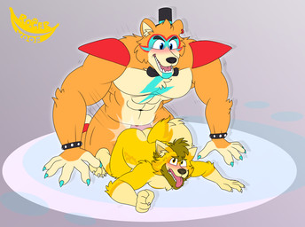 anthro bangle blush brown_body claws clothing duo ear_piercing ear_ring fur hat headgear headwear jewelry male male/male male_penetrated male_penetrating male_penetrating_male muscular penetration piercing ring_piercing sex tongue tongue_out top_hat yellow_body rogerwoof five_nights_at_freddy's five_nights_at_freddy's:_security_breach scottgames steel_wool_studios glamrock_freddy rogerwoof_(character) bear canid canine canis domestic_dog mammal hi_res