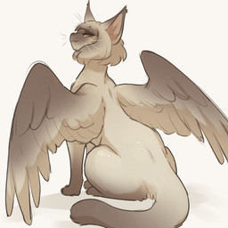 bangs bedroom_eyes brown_body brown_fur female feral fluffy fluffy_hair fluffy_tail fur gradient_body gradient_fur hair looking_at_viewer looking_back looking_back_at_viewer multicolored_body multicolored_fur narrowed_eyes rear_view seductive sitting smile solo spread_wings straight_bangs tail tan_body tan_fur whiskers wings yellow_eyes tateoftot mythology felid mammal mythological_creature mythological_sphinx siamese_cat 1:1 hi_res