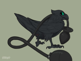 air_inflation ambiguous_gender animal_genitalia avian_butt beak black_body black_feathers black_tongue blush bodily_fluids buttplug buttplug_in_cloaca buttplug_insertion cloaca cloacal cloacal_penetration cloacal_plug feathered_crest feathers feral genitals green_eyes head_crest inflatable_plug inflation penetration plug plug_(sex_toy) plug_insertion raised_tail rictal_bristles sex_toy sex_toy_in_cloaca sex_toy_insertion solo sweat sweatdrop tail tail_feathers tongue toony oddbird puck_(slug) avian bird corvid corvus_(genus) crow oscine passerine raven 2d_animation 4:3 animated frame_by_frame signature slideshow