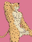 anthro balls foreskin genitals male muscular muscular_male nipples penis pits solo dickinoatmeal cheetah felid feline mammal absurd_res hi_res