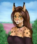 anthro biped black_collar blue_sky breasts brown_hair clothed clothing cloud collar detailed_background female fur green_eyes hair markings outside pink_nose sky solo spots spotted_body spotted_fur lora_mclaren felid feline lynx mammal 5:6 absurd_res digital_media_(artwork) hi_res