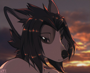 black_body black_fur black_hair black_nose cloud fur grey_body grey_eyes grey_fur hair looking_at_viewer male medium_hair multicolored_body multicolored_fur nude sky solo sun sunset two_tone_body two_tone_fur white_body white_fur white_inner_ear shyryp sanya_(shyryp) canid canine canis mammal wolf 2025 absurd_res digital_media_(artwork) hi_res huge_filesize portrait