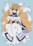 anthro blush clothed clothing dipstick_tail green_eyes hair markings multi_tail multicolored_hair pupils solo tail tail_markings thick_thighs two_tone_hair ruri_tsubame canid canine fox mammal