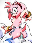 anal anthro breasts duo female first_person_view male male/female nipples sex randomguy999 sega sonic_the_hedgehog_(series) amy_rose anon eulipotyphlan hedgehog human humanoid mammal hi_res