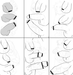 anthro balls big_penis censored_genitalia censored_penis chart erection flaccid foreskin genitals glans group grower half-erect humanoid_genitalia humanoid_penis male penis penis_size_difference retracted_foreskin simple_background size_chart small_but_hung tight_foreskin vein veiny_penis white_background young young_anthro young_but_hung young_male manmosu_marimo hung_tiny_canine_(marimo) bear canid canine canis domestic_cat domestic_dog felid feline felis giant_panda mammal rodent sciurid 2020 censored monochrome