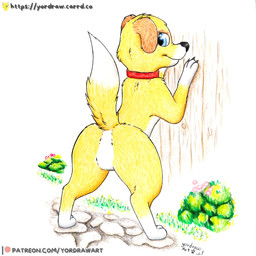 3_toes black_nose blue_eyes butt claws collar crotch_lines feet female feral fur grass looking_at_viewer looking_back patreon_logo patreon_username paws plant presenting presenting_hindquarters raised_tail smile smiling_at_viewer solo spread_legs spreading tail text toes yellow_body yellow_fur yordraw martha_speaks patreon martha_lorraine canid canine canis domestic_dog mammal 1:1 hi_res painting_(artwork) traditional_media_(artwork) traditional_painting_(artwork) url
