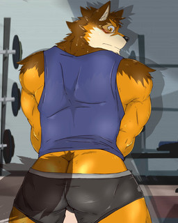 anthro bottomwear bottomwear_down butt butt_cleavage clothed clothing countershading embarrassed exercise gym looking_at_viewer looking_back male partially_clothed shirt shorts shorts_down solo tank_top tight_clothing topwear workout inuyama_kensin lifewonders live_a_hero barrel_(live_a_hero) canid canine canis mammal wolf 4:5 absurd_res hi_res