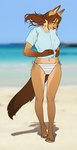 5_fingers 5_toes anthro arm_tuft arms_bent beach biped blue_clothing blue_shirt blue_topwear blurred_background bottomwear breasts brown_body brown_fur brown_hair brown_tail cheek_tuft clothed clothed_anthro clothed_female clothing elbow_tuft eyebrows eyelashes eyes_closed facial_tuft feet female female_anthro fingers fluffy fluffy_tail footwear fur grey_clothing grey_panties grey_underwear hair humanoid_feet humanoid_hands kemono long_hair navel open_mouth open_smile panties pattern_bottomwear pattern_clothing pattern_panties pattern_underwear plantigrade sand sandals sea shadow shirt shoes side-tie_panties smile solo standing straight_legs striped_bottomwear striped_clothing striped_panties striped_underwear stripes tail toes topwear tuft underwear water kambo lenka_(janjin192) canid mammal 2022 digital_media_(artwork) english_description full-length_portrait portrait