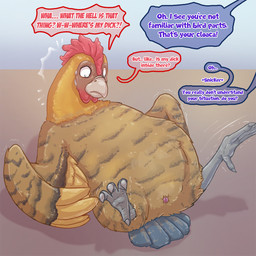 after_transformation animal_genitalia brown_body brown_feathers cloaca confusion dialogue feathers feet female feral feral_transformation gender_transformation genitals grey_feet looking_at_own_genitalia looking_at_self looking_down lying motion_lines mtf_transformation offscreen_character on_back shocked simple_background solo speech_bubble surprised talking_feral talons text toes transformation wings animatics avian bird chicken galliform phasianid 1:1 english_text hi_res