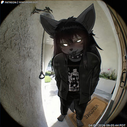 anthro barefoot black_hair black_nose bottomless clothed clothing collar dialogue doorbell_camera doormat eyebrows feet female hair long_hair looking_at_viewer solo spiked_collar spikes standing text tongue conditional_dnp whisperfoot doorbell_chud sami_(whisperfoot) canid canine mammal 1:1 2026 digital_media_(artwork) english_text hi_res meme url