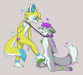 anthro blush collar collar_only collar_pull duo fur genitals grey_body grey_fur hair leash leash_pull male male/male nude penis purple_hair stepped_on stepping yank yellow_body yellow_fur neppyin canid canine canis mammal wolf absurd_res hi_res