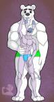 abs biceps bulge clothed clothing duo male male/male muscular muscular_male pecs size_difference speedo swimwear topless rebel_nightwolfe aggretsuko sanrio shirota_(aggretsuko) tadano_(aggretsuko) asinus bear donkey equid equine mammal polar_bear ursine hi_res