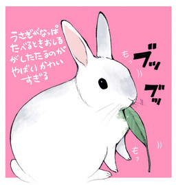 ambiguous_gender simple_background solo text ichthy0stega lagomorph leporid mammal rabbit 2015 japanese_text partially_translated translation_request