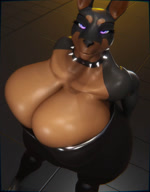 anthro big_breasts biped breasts brown_body clothed clothing collar detailed_background dress eyelashes female glistening glistening_breasts huge_breasts looking_at_viewer pupils purple_eyes shaking_breasts smile solo spiked_collar spikes standing thick_thighs xlkev shia_(xlkev) canid canine canis dobermann domestic_dog mammal pinscher 3d_(artwork) 3d_animation animated digital_media_(artwork) hi_res no_sound short_playtime webm