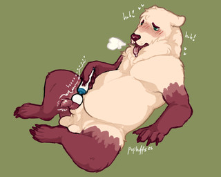 animal_genitalia animal_penis anthro balls blush bodily_fluids breath cum drooling erection fur genital_fluids genitals heart_symbol hitachi_magic_wand male male_anthro neck_tuft nude nude_anthro nude_male overweight overweight_anthro overweight_male panting penile penis penis_tip red_body red_fur saliva sex_toy sheath simple_background solo spread_legs spreading tan_body tan_fur tongue tongue_out tuft ursine_penis vibrator vibrator_on_penis wand_vibrator whisker_spots puphuffs hitachi wulfre american_black_bear bear black_bear kermode_bear mammal ursine 2025 5:4 hi_res