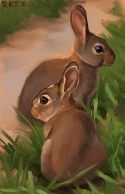 black_eyes brown_body brown_eyes brown_fur duo ears_up feral fur grass plant realistic sand sitting tan_body tan_fur alexpahomov lagomorph leporid mammal rabbit 2022 digital_media_(artwork) digital_painting_(artwork) hi_res painting_(artwork)