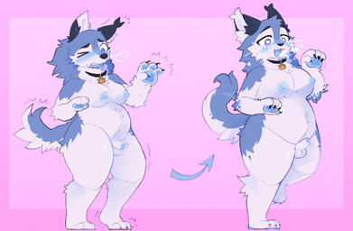 anthro balls bodily_fluids breast_expansion breasts claws collar directional_arrow erection expansion fur genital_fluids genitals gynomorph heart_eyes heart_symbol intersex nipples nude on_one_leg pawpads penis precum simple_background smile solo species_transformation spiral spiral_eyes standing tail transformation weight_gain whiskers white_body white_fur pawberry canid canine canis felid feline lynx mammal wolf 2023 digital_media_(artwork) hi_res