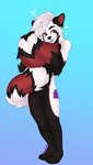 anthro biped black_body black_fur blep fur heart_symbol hugging_own_tail male red_body red_fur solo tail tail_hug tongue tongue_out white_body white_fur hypohate ester_(theoneester) ailurid mammal red_panda hi_res