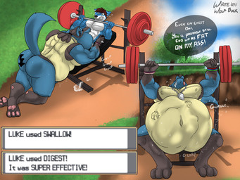 abdominal_bulge anthro balls belly big_belly blue_body blue_fur butt dialogue duo exercise fully_inside fur genitals male male/male muscular muscular_male oral_vore partially_inside same_size_vore stretched_mouth text vore weight_bench weightlifting workout whiteiron nintendo pokemon generation_4_pokemon lucario pokemon_(species) 4:3 english_text
