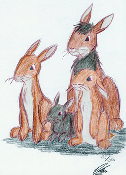 ambiguous_gender black_body black_fur brown_body brown_fur ears_down feral fur group head_tuft pivoted_ears red_eyes simple_background sitting trio tuft whiskers white_background white_body white_fur frey_(artist) watership_down bigwig_(watership_down) fiver_(watership_down) hazel_(watership_down) pipkin_(watership_down) lagomorph leporid mammal rabbit 2009 colored_pencil_(artwork) dated hi_res signature traditional_media_(artwork)