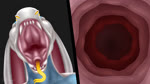 anthro female forked_tongue inside internal internals mouth_shot open_mouth sharp_teeth solo teeth throat tongue vore white_body white_skin yellow_tongue lilo_pino psypneu reptile scalie snake 16:9 2d_animation animated hi_res high_framerate motion_tweening no_sound portrait short_playtime webm widescreen