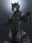 anthro black_body black_fur blue_eyes blue_nipples collar fur grey_body grey_fur harness leash leashed_collar looking_at_viewer male nipples prosthetic prosthetic_arm prosthetic_limb solo david_morston group17 hal_greaves ailurid mammal red_panda hi_res