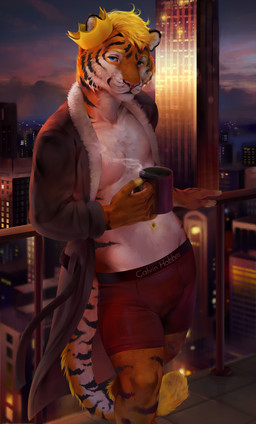 anthro athletic athletic_anthro athletic_male beverage city cityscape clothed clothed_anthro clothed_male clothing coffee coffee_mug container countershade_face countershade_torso countershading crown cup detailed_background fur headgear holding_container holding_cup holding_mug holding_object looking_at_viewer male male_anthro mug open_clothing open_shirt open_topwear outside robe shirt smile solo standing striped_body striped_fur stripes tail topwear adelaherz roberty felid mammal pantherine tiger 2021 hi_res