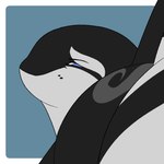 animal_genitalia animal_penis blue_eyes bodily_fluids butt cetacean_genitalia cetacean_penis cum cum_drip cum_on_penis dripping eclipse erection feral genital_fluids genital_slit genitals male penis precum presenting presenting_hindquarters presenting_penis solo tapering_penis underwater water dolphinproject eclipse_(orca621) cetacean dolphin mammal marine oceanic_dolphin orca toothed_whale whale animated