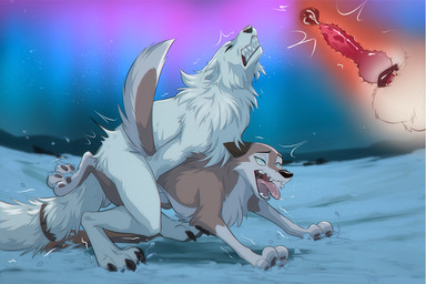 animal_genitalia animal_penis animal_vulva anthro anthro_on_feral anthro_penetrating anthro_penetrating_feral arctic aurora_(phenomenon) balls bestiality bodily_fluids brown_body brown_fur canine_genitalia canine_penis canine_vulva canon_x_oc cervical_contact clenched_teeth cum cum_in_uterus cum_in_vagina cum_inside cumshot duo ejaculation erection eye_roll eyes_closed female female_feral female_penetrated feral feral_penetrated fur genital_fluids genitals internal internal_vaginal intraspecies intraspecies_bestiality knot knot_root knotted_penis knotting larger_anthro larger_male looking_pleasured male male/female male_anthro male_on_feral male_penetrating male_penetrating_female male_penetrating_feral mating_grip night nude orgasm orgasm_face outside pawpads penetration penile penile_penetration penis saliva sex shaking sharp_teeth size_difference sky smaller_female smaller_feral smaller_penetrated snow teeth tongue tongue_out trembling uterus vaginal vaginal_knotting vaginal_penetration vulva white_body white_fur winter azzai balto_(series) universal_studios aleu_(balto) crytrauv arctic_fox canid canine canis fox hybrid mammal true_fox wolf wolfdog 3:2