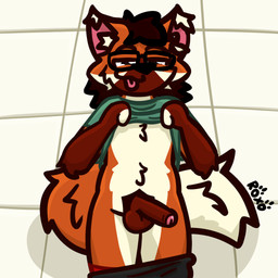 anthro blep bottomwear bottomwear_down clothed clothing clothing_lift erection eyewear foreskin fur genitals glasses green_clothing green_shirt green_topwear humanoid_genitalia humanoid_penis inner_ear_fluff looking_at_viewer male orange_body orange_fur partially_clothed penis presenting red_clothing red_underwear shirt shirt_lift shorts shorts_down solo tongue tongue_out topwear tuft underwear underwear_down roxo_(artist) canid canine mammal maned_wolf signature