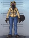 4_toes 5_fingers anthro barefoot big_hands bottomwear chart claws clothing denim denim_bottomwear denim_clothing fangs feet female fingers glowing glowing_eyes height_chart jacket jeans pants purple_eyes teeth toe_claws toes topwear ladyfuzztail gulonine mammal mustelid musteline wolverine 2017 3:4 hi_res