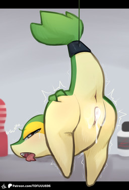 anthro anus bdsm biped bodily_fluids bondage bound brown_eyes butt cum cum_from_vagina cum_in_vagina cum_inside female fingers fucked_silly genital_fluids genitals green_body hand_on_butt leaking_cum looking_back looking_pleasured multicolored_body non-mammal_vulva nude nude_anthro nude_female presenting presenting_hindquarters pupils raised_tail shaking solo tail tail_anus tail_bondage tail_tied tears teeth text thick_tail tongue tongue_out tremble_spikes trembling vulva wide_hips yellow_body tofuuu nintendo pokemon generation_5_pokemon pokemon_(species) snivy hi_res translated url