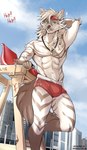 abs anthro beach bulge city clothing lifeguard male muscular muscular_male seaside solo swimming_trunks swimwear underwear midnight_blue canid canine canis mammal wolf absurd_res hi_res