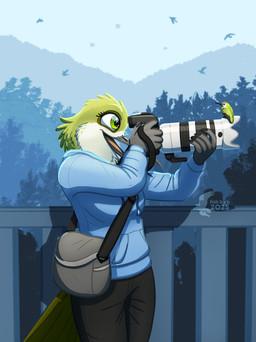 anthro bag bottomwear camera clothing female feral hoodie lens nature nature_background outside pants solo sweater taking_picture topwear fish_birb sarah_(fish_birb) apodiform avian bird hummingbird absurd_res hi_res