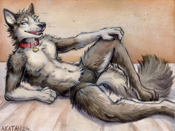 anthro biped black_briefs black_clothing black_underwear blue_eyes boxer_briefs briefs brown_body brown_fur bulge cheek_tuft clothed clothing collar digitigrade facial_tuft fur leg_tuft looking_at_viewer male male_anthro open_mouth red_collar red_tongue solo tongue topless tuft underwear white_body white_fur akatan_art canid canine canis domestic_dog husky mammal nordic_sled_dog spitz 2024 acrylic_painting_(artwork) dated hi_res painting_(artwork) signature traditional_media_(artwork) traditional_painting_(artwork)
