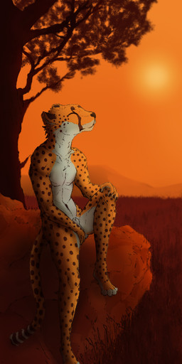 animal_genitalia anthro black_nails black_nose boulder chest_tuft colored_nails eyes_closed fully_sheathed genitals grass hand_in_lap hand_on_knee hand_on_leg landscape male nails navel neck_tuft pecs plant rock savanna sheath sitting solo spots sun sunbathing tree tuft somesoup cheetah felid feline mammal hi_res warm_colors