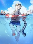 ambient_bird anthro avian back_groove biped bird child cloud dr.kiyo felid front_view fur group hi_res kemono male mammal open_mouth open_smile pantherine partially_submerged rear_view side_view smile snout solo_focus striped_body striped_fur stripes tail tiger water white_body white_fur young young_anthro