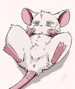3_toes ambiguous_gender anatomically_inaccurate anus big_ears bodily_fluids cheek_tuft crotch_tuft facial_tuft featureless_crotch feet feral green_eyes head_tuft lying mouthless on_back pink_body pink_feet quadruped rat_tail rear_view round_ears simple_background solo sweat sweatdrop tail toes toony tuft white_background white_body white_sclera isamatu mammal murid murine rat rodent digital_drawing_(artwork) digital_media_(artwork) hi_res japanese_description shaded signature