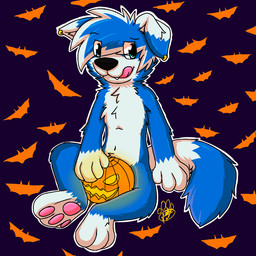 anthro biped black_nose blue_body blue_ears blue_eyes blue_fur blue_hair cute_fangs dipstick_ears dipstick_tail ear_markings eye_through_hair fangs floppy_ears fur hair holidays jack-o'-lantern licking licking_lips male markings multicolored_body multicolored_ears multicolored_fur multicolored_hair pawpads pink_pawpads pink_tongue simple_background solo tail tail_markings teeth tongue tongue_out translucent translucent_hair two_tone_body two_tone_ears two_tone_fur two_tone_hair white_body white_ears white_fur white_hair white_inner_ear gaokun halloween gao_(gaokun) border_collie canid canine canis collie domestic_dog herding_dog hybrid mammal nordic_sled_dog pastoral_dog samoyed sheepdog spitz 1:1 2015 watermark