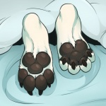 4_toes ambiguous_gender bed black_pawpads curling_toes digitigrade feet foot_focus foot_shot fur furniture hindpaw pawpads paws soles solo toes white_body white_fur rooc dannydumal canid canine canis mammal mexican_wolf wolf 1:1 2016 digital_media_(artwork)