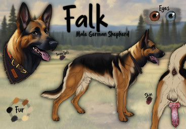 animal_genitalia animal_penis anus balls black_body black_fur black_sheath_slit blue_eyes brown_anus brown_balls brown_body brown_eyes brown_fur canine_genitalia canine_penis closed_sheath_slit erection feral fur genitals glistening glistening_eyes heterochromia knot knotted_penis male male_feral open_mouth outside penis red_penis sheath sheath_slit side_view solo tan_body tan_fur tan_sheath tongue tongue_out whiskers kodaac canid canine canis domestic_dog german_shepherd herding_dog mammal pastoral_dog hi_res model_sheet