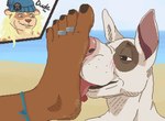 anklet anthro beach blush bull_terrier caleb_(nyapolitan) canid canine canis cutaway digit_ring digital_media_(artwork) domestic_dog duo feet foot_fetish foot_focus foot_lick foot_on_face foot_play hi_res humanoid_feet hunting_dog jewelry licking male male/male mammal mustelid otter pixel_(artwork) plantigrade ring sand submissive submissive_male terrier toe_ring toes tongue u4e