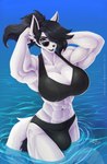 abs anthro athletic athletic_gynomorph athletic_intersex big_breasts big_bulge big_muscles black_body black_fur black_hair black_lips black_nose breasts bulge cleavage clothed clothed_anthro clothed_gynomorph clothed_intersex clothing eyewear fur glasses gynomorph hair hands_in_hair intersex lips multicolored_body multicolored_fur muscular muscular_gynomorph muscular_intersex outside partially_submerged ponytail purple_eyes reflection reflective_clothing seascape sky smile solo sunglasses swimming swimwear thick_thighs two_tone_body two_tone_fur water white_body white_fur wmdiscovery93 gwendolyn_mai canid canine canis mammal wolf absurd_res hi_res