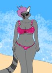 anthro beach bikini clothing facial_markings female fur grey_body grey_fur hair head_markings lips lipstick looking_at_viewer makeup markings mask_(marking) mature_female navel outside pattern_clothing purple_hair ring_(marking) ringed_tail sand solo standing striped_markings striped_tail stripes swimwear tail tail_markings thigh_gap two-piece_swimsuit water stormfluff567 kerry_the_racoon mammal procyonid raccoon hi_res portrait three-quarter_portrait